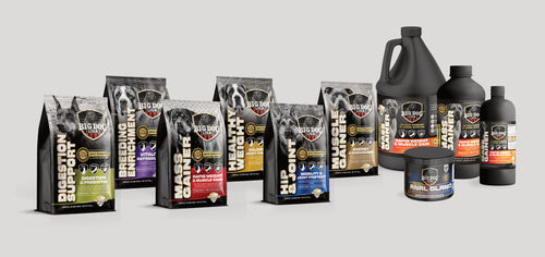 BIG Dog USA – Gold Standard Weight Gainer Powder image 1