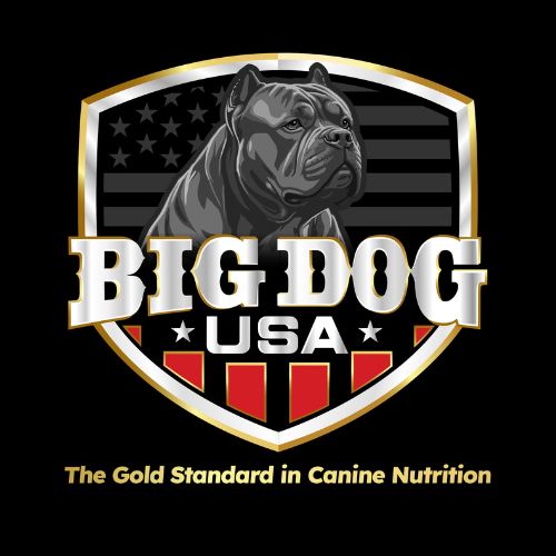 BIG DOG-USA